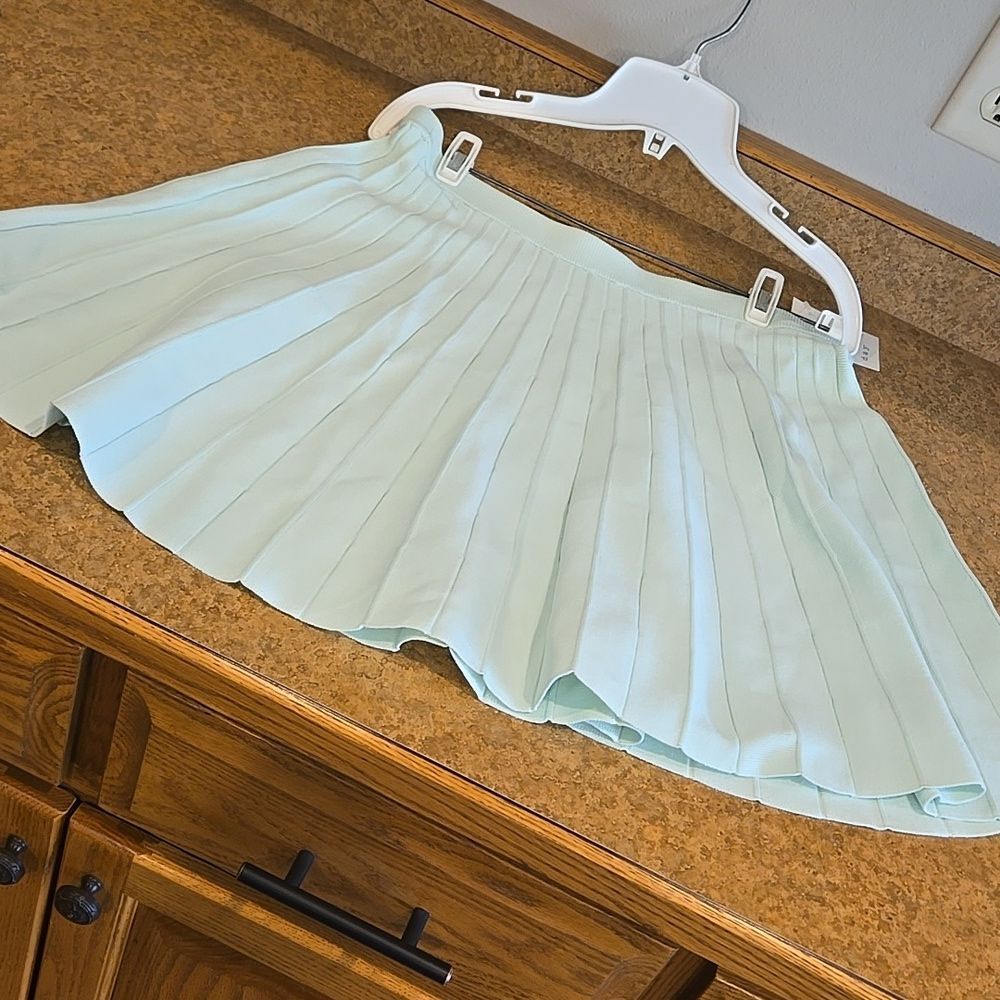 Womens Xlarge Pleated Sweater Skirt  A New Day Mint Green Fall Size Xl - Picture 12 of 16